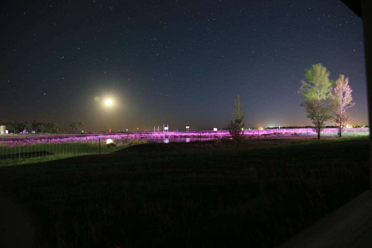 Artos Motel Harvey エクステリア 写真